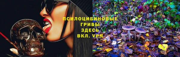 a pvp Алексин