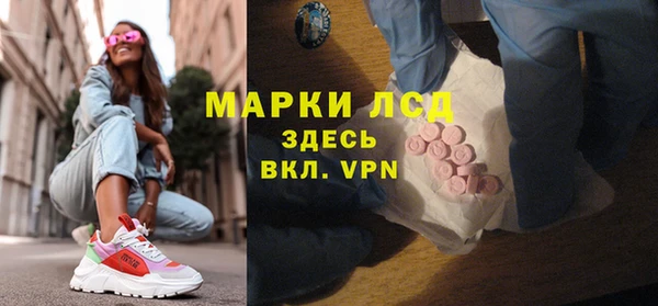 стафф Осташков